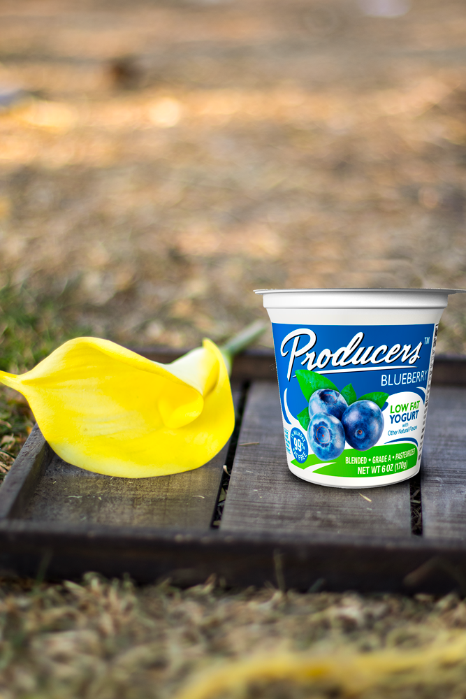 Blueberry Yogurt – Producers Dairy