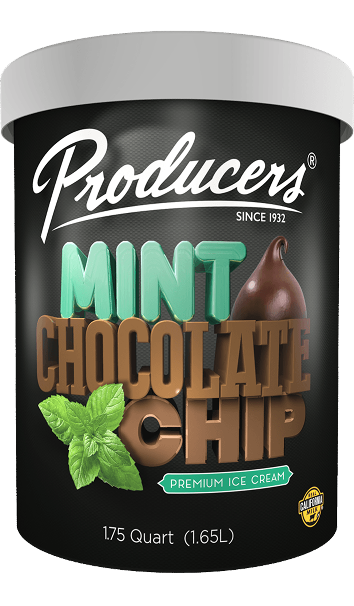 IceCreamMintChocolateChip