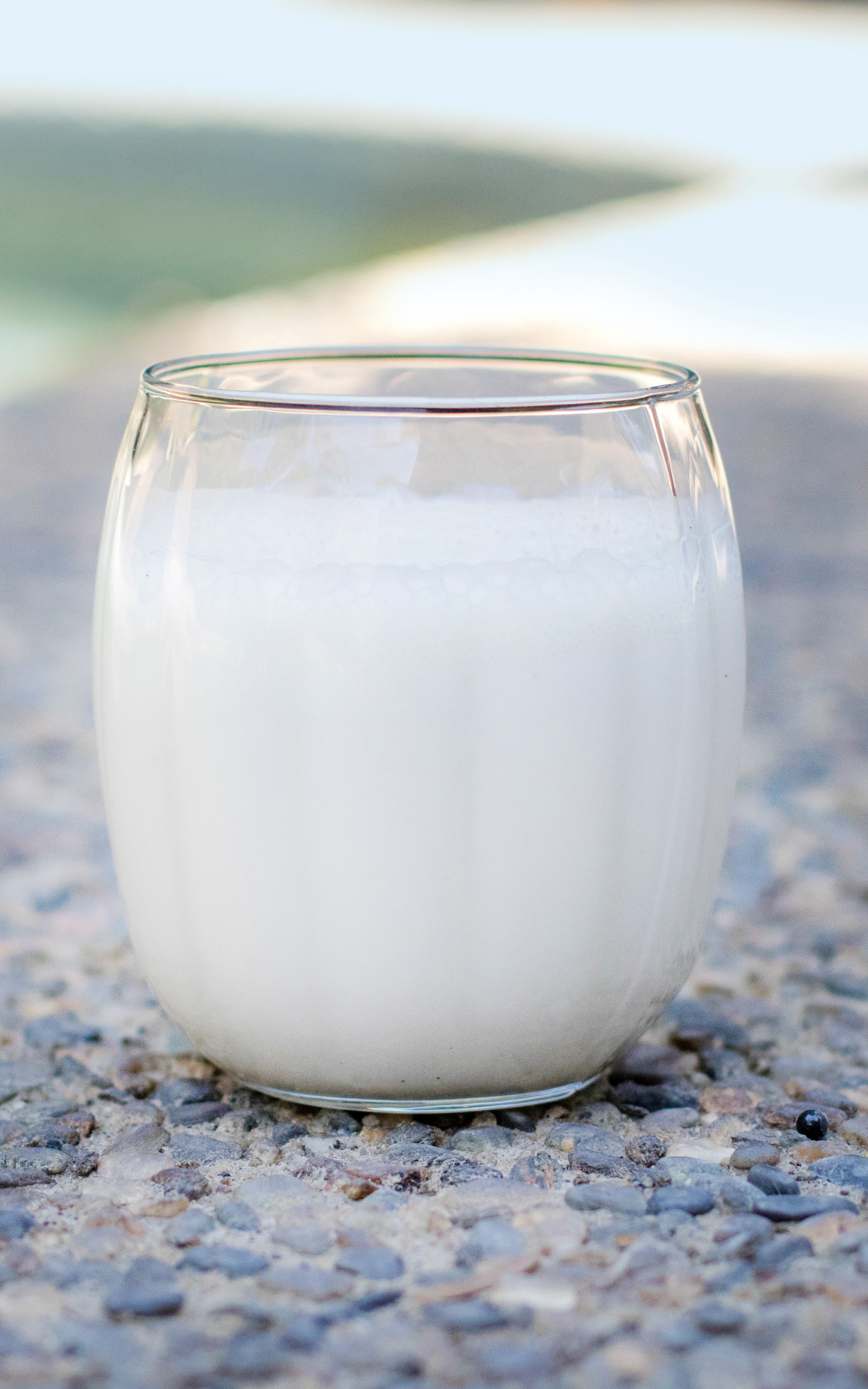 Banana Milkshake Producers Dairy